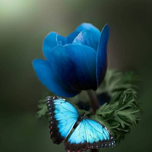 یوسف نجم ای خدا عمرم به پیری میرسد خارم نکن رزق و روزی ام بده